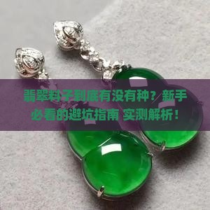 翡翠料子怎么看有没有种