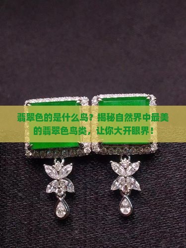 翡翠色的是什么鸟