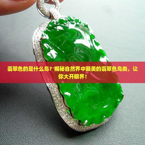 翡翠色的是什么鸟