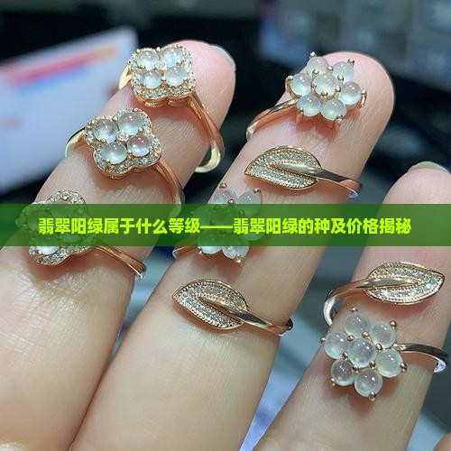 翡翠阳绿属于什么等级——翡翠阳绿的种及价格揭秘