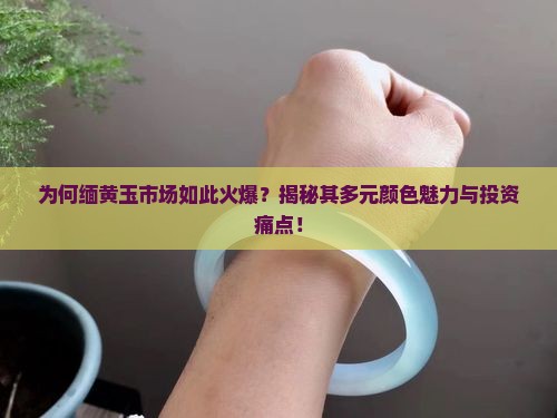 为何缅黄玉市场如此火爆？揭秘其多元颜色魅力与投资痛点！