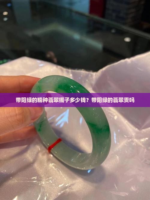 带阳绿的糯种翡翠镯子多少钱？带阳绿的翡翠贵吗