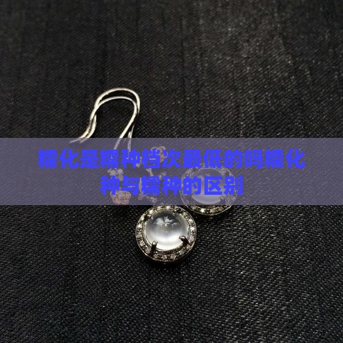 糯化是糯种档次最低的吗糯化种与糯种的区别