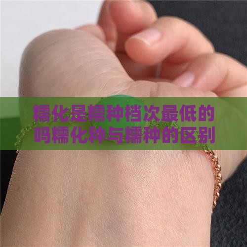 糯化是糯种档次最低的吗糯化种与糯种的区别