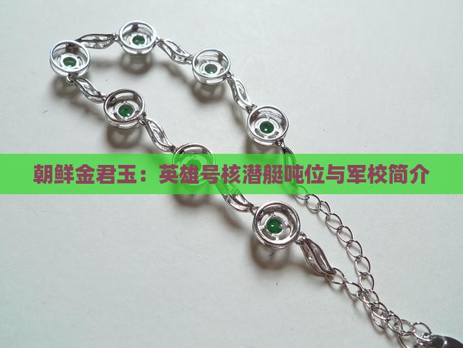 朝鲜金君玉：英雄号核潜艇吨位与军校简介