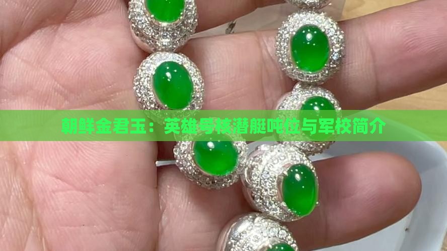 朝鲜金君玉：英雄号核潜艇吨位与军校简介