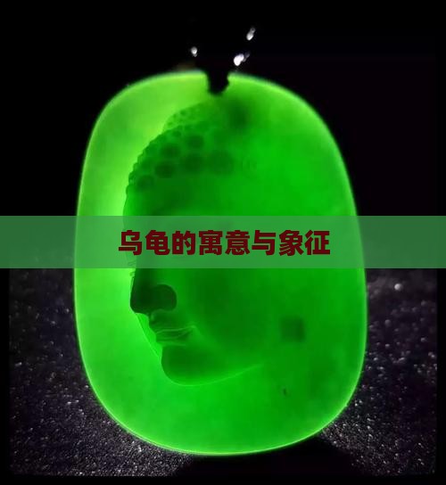 乌龟的寓意与象征