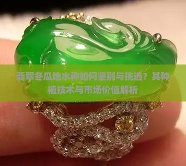 翡翠冬瓜地水种如何鉴别与挑选？其种植技术与市场价值解析