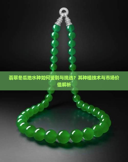 翡翠冬瓜地水种如何鉴别与挑选？其种植技术与市场价值解析