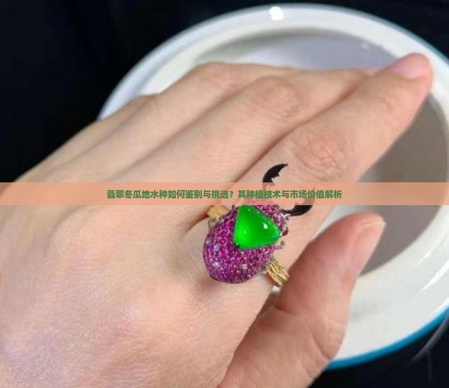翡翠冬瓜地水种如何鉴别与挑选？其种植技术与市场价值解析