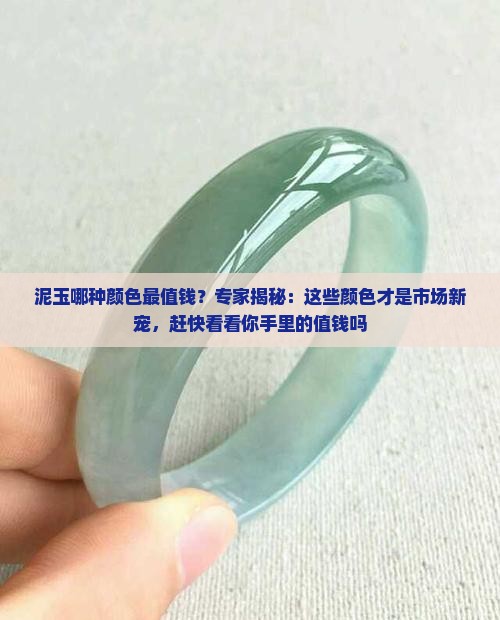 泥玉哪种颜色最值钱？专家揭秘：这些颜色才是市场新宠，赶快看看你手里的值钱吗