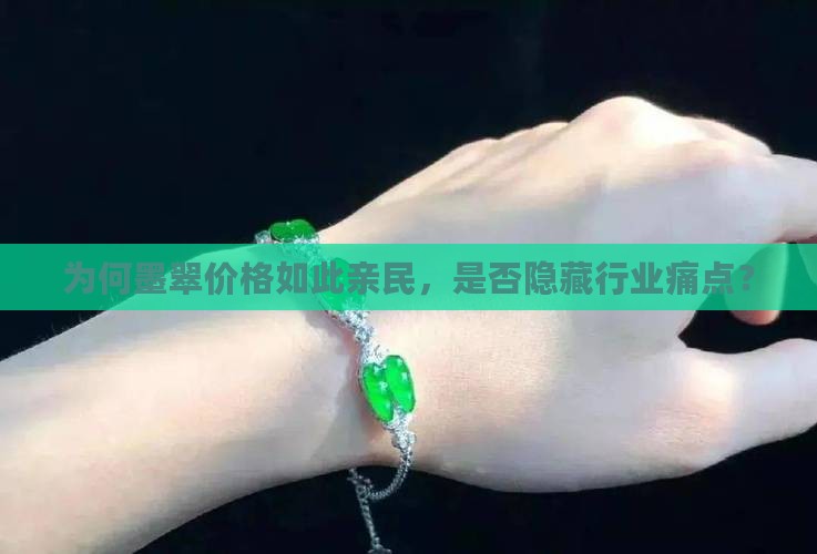 为何墨翠价格如此亲民，是否隐藏行业痛点？