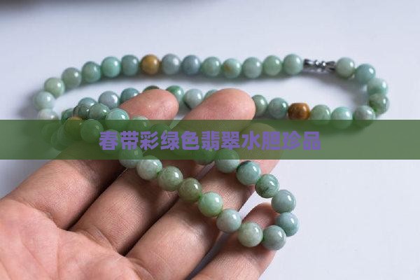 春带彩绿色翡翠水胆珍品