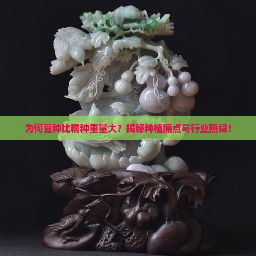 为何豆种比糯种重量大？揭秘种植痛点与行业热词！