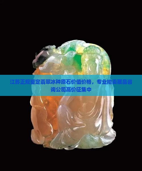江苏正规鉴定翡翠冰种原石价值价格，专业拍卖藏品咨询公司高价征集中