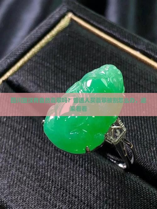 四川宣汉有自然翡翠吗？普通人买翡翠被割怎么办，进来看看