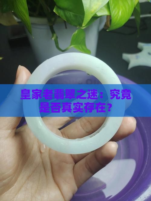 皇家老翡翠之迷：究竟是否真实存在？