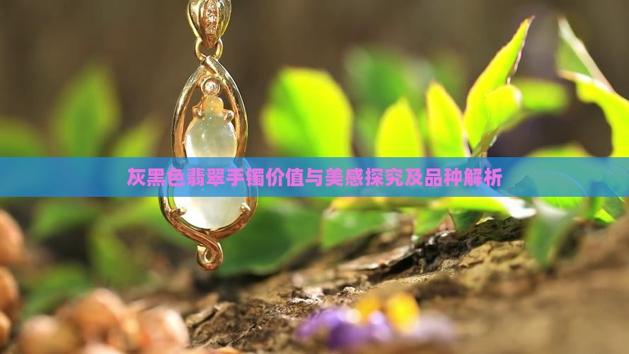 灰黑色翡翠手镯价值与美感探究及品种解析