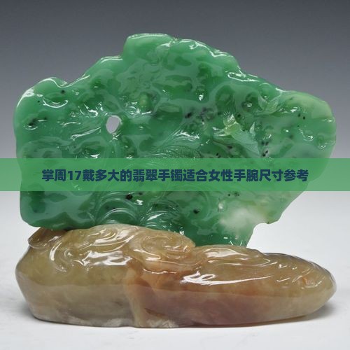 掌周17戴多大的翡翠手镯适合女性手腕尺寸参考