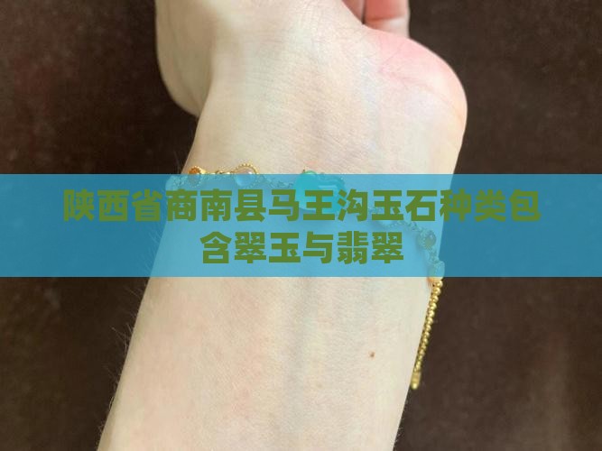 陕西省商南县马王沟玉石种类包含翠玉与翡翠