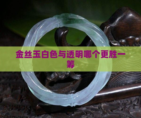 金丝玉白色与透明哪个更胜一筹