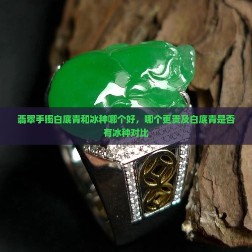翡翠手镯白底青和冰种哪个好，哪个更贵及白底青是否有冰种对比