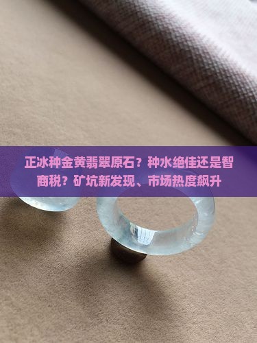 正冰种金黄翡翠原石？种水绝佳还是智商税？矿坑新发现、市场热度飙升