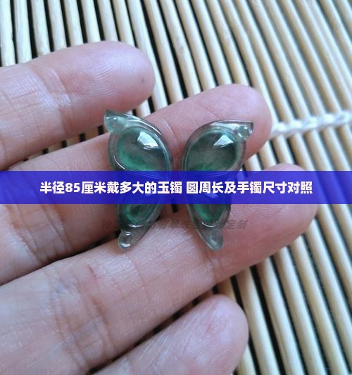 半径85厘米戴多大的玉镯 圆周长及手镯尺寸对照