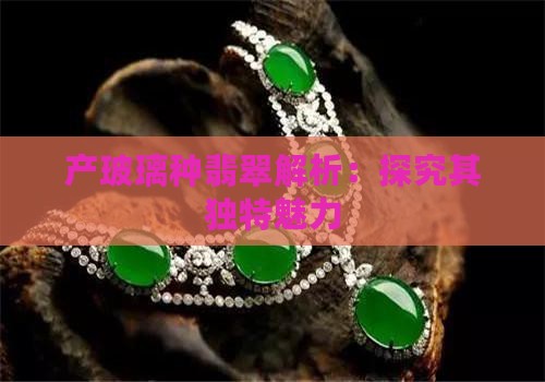 产玻璃种翡翠解析：探究其独特魅力