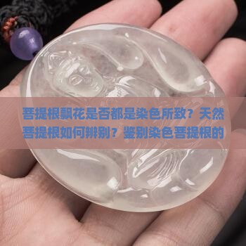 菩提根飘花是否都是染色所致？天然菩提根如何辨别？鉴别染色菩提根的方法有哪些？