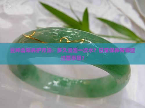 豆种翡翠养护方法：多久浸泡一次水？日常保养有哪些注意事项？