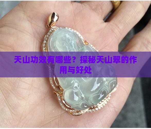 天山功效有哪些？探秘天山翠的作用与好处