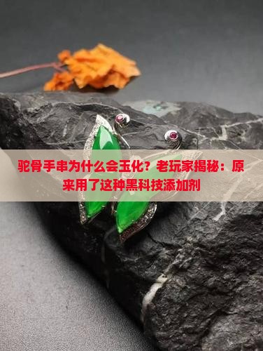 驼骨手串为什么会玉化？老玩家揭秘：原来用了这种黑科技添加剂