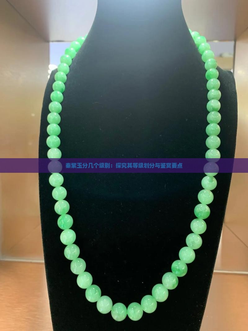 秦紫玉分几个级别：探究其等级划分与鉴赏要点