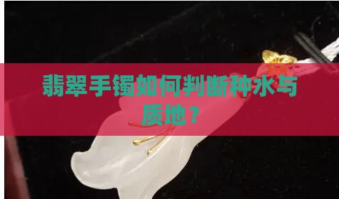翡翠手镯如何判断种水与质地？