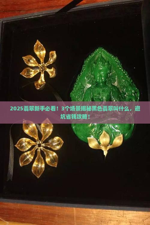 翡翠黑色的叫什么来的