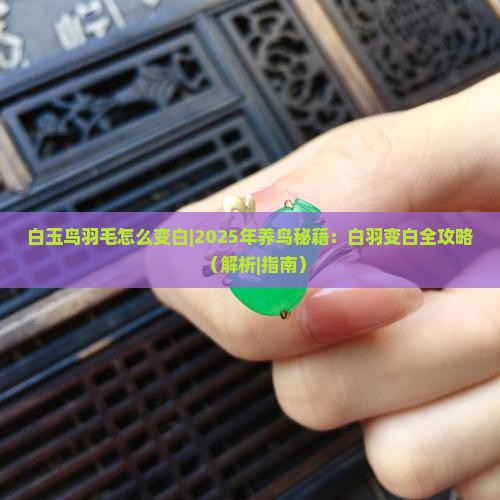 白玉鸟羽毛怎么变白