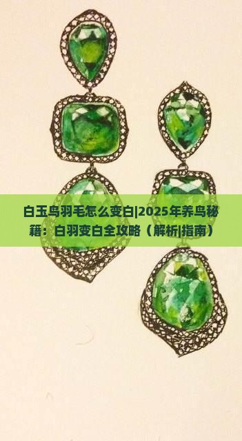 白玉鸟羽毛怎么变白
