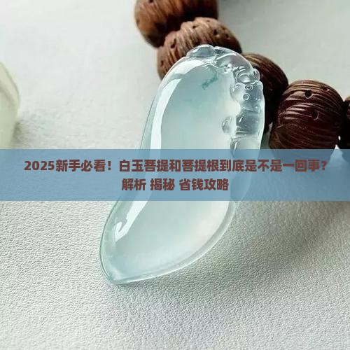 白玉菩提和菩提根是同一个东西吗