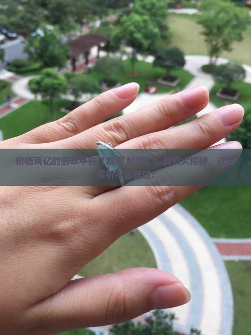 价值两亿的翡翠手镯