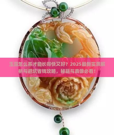 玉露怎么养才能长得快又好