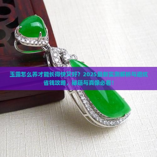玉露怎么养才能长得快又好