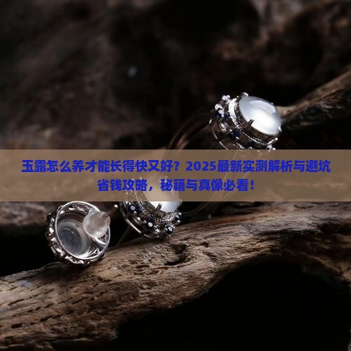 玉露怎么养才能长得快又好