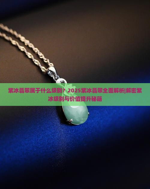 紫冰翡翠属于什么级别