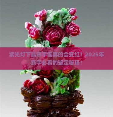 翡翠手镯紫光灯下是红色么吗