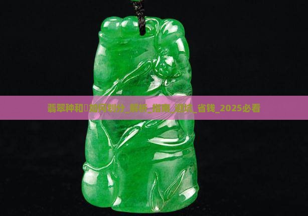 翡翠种和檽如何划分