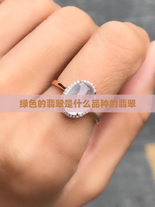 绿色的翡翠是什么品种的翡翠