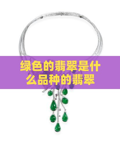 绿色的翡翠是什么品种的翡翠
