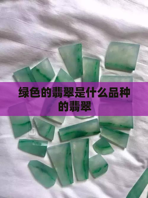 绿色的翡翠是什么品种的翡翠