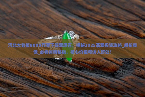 河北大老板8000万买下翡翠原石